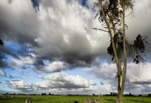 阿斯顿维拉战平，保持不败战绩