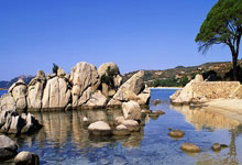 亚洲女足赛事：中国队夺得冠军